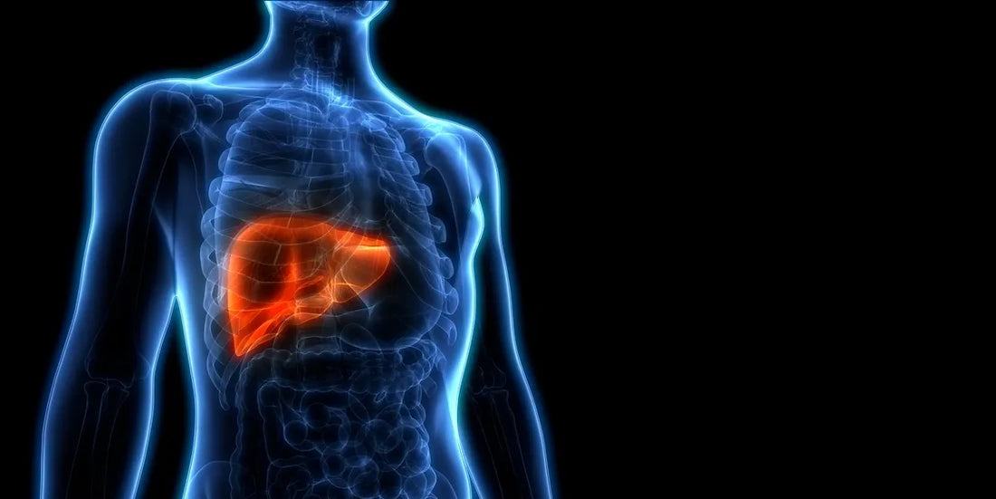 Boost Your Liver Health with a Natural Liver Detoxification